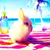 chmownica_110