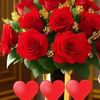 zahara.mohamed6