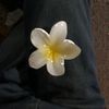 user331002721