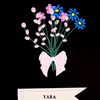 yara.arafat8