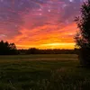 alnd_58