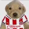 editsru0