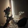 yan_j8