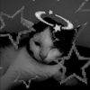 starry_editz4