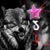 dl0..zaxo.511