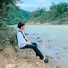 anthittreem12341