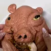bidjodja