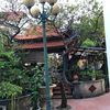 tranchanphong114