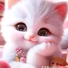 ro2yamotakhali9a.com1