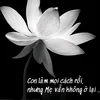 kieu.6868