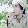 qammerabbas54