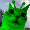 elgatoalien72