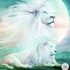 rauf_r.f