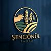 mehmetali şengönül 