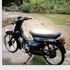 astreabulus28tbtlampung