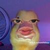usernxmt7b0eqv