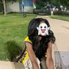 michelle.me.1