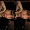 caaa2514