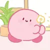 softsnag
