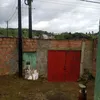 jos.rodrigues.da42