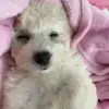 hahaeunw