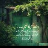 zain.haroon7