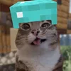 papito_papito070