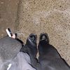 fxkingvetements