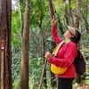 wahyuhandayani494