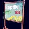 reptile101official