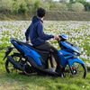 tasipit29