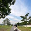 lvy_queen005
