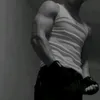 itl_313