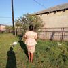 user4814058125074