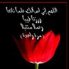 umu.salma098