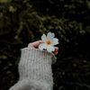 oshe_007