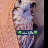 ma12ll6