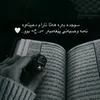 alya.xanm0