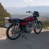 tolgahan.mert