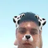 davilol.simp