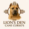 LionsDenCaneCorsos
