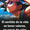 el.insofaito