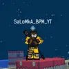 salomka_bpm_2