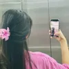 salma.eka29