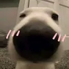 buibaongoc_14