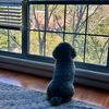 kmila_829