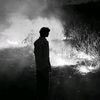 ali5_ll