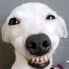 ccccccc7939