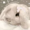 ashley_465_
