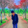 sk_sagur0